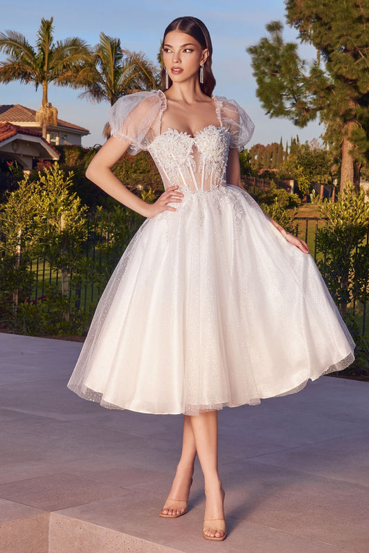 Wedding Dress by Ladivine CD0187W