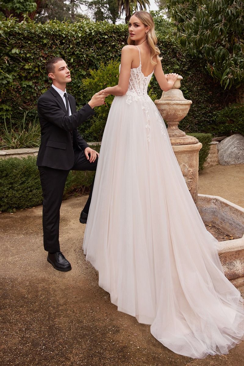 Wedding Dress by Ladivine CD854W