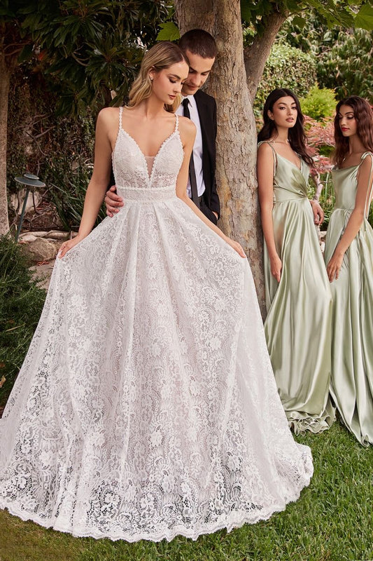 Wedding Dress by Ladivine CD862W