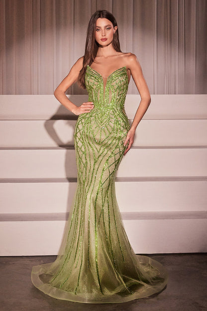 Formal Gown by Ladivine CC6018