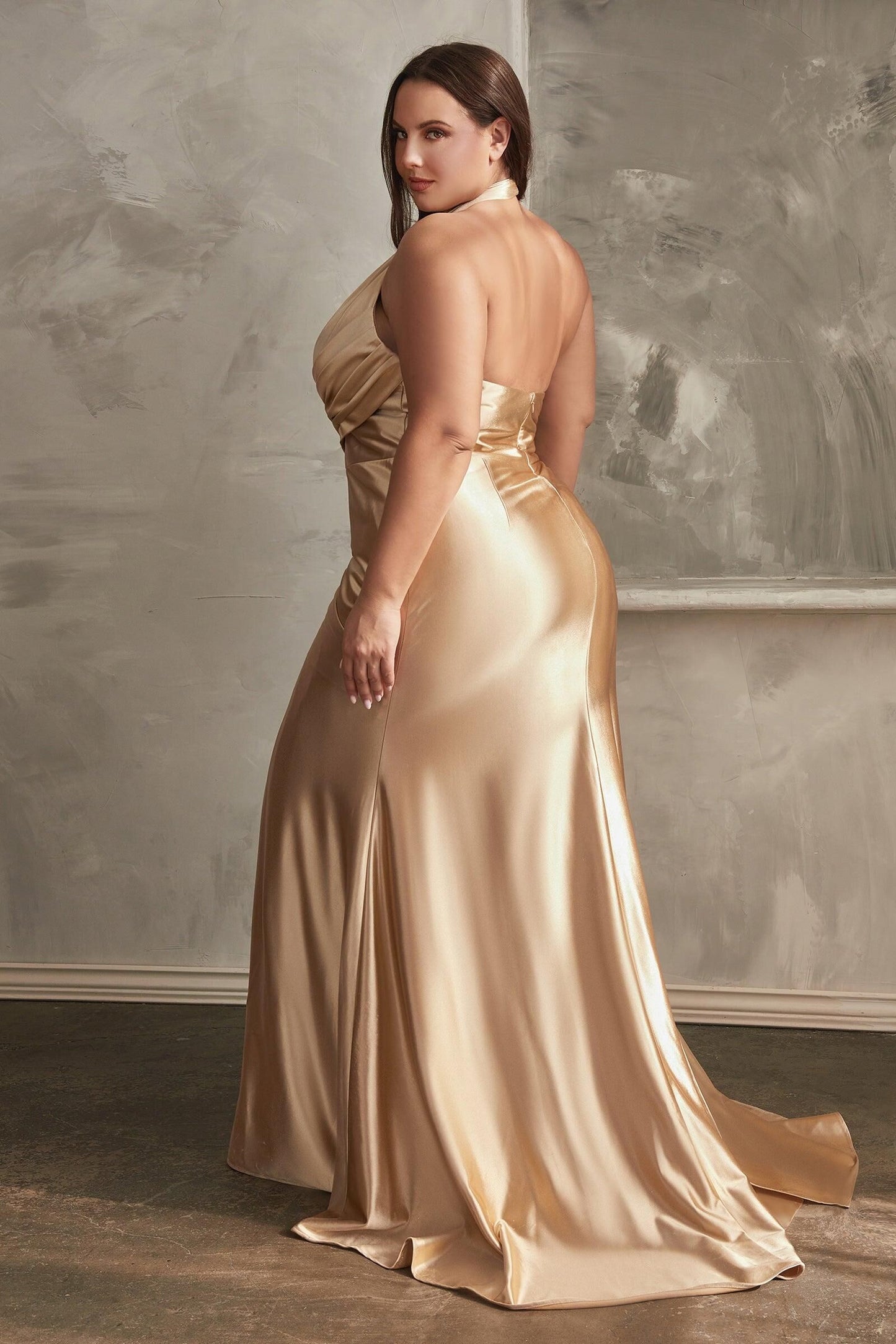 Plus Size Gown by Ladivine CH079C