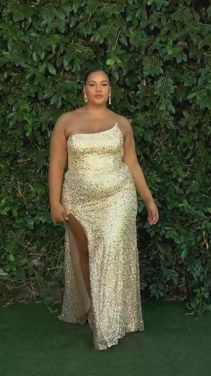 Plus Size Gown by Ladivine CH165C