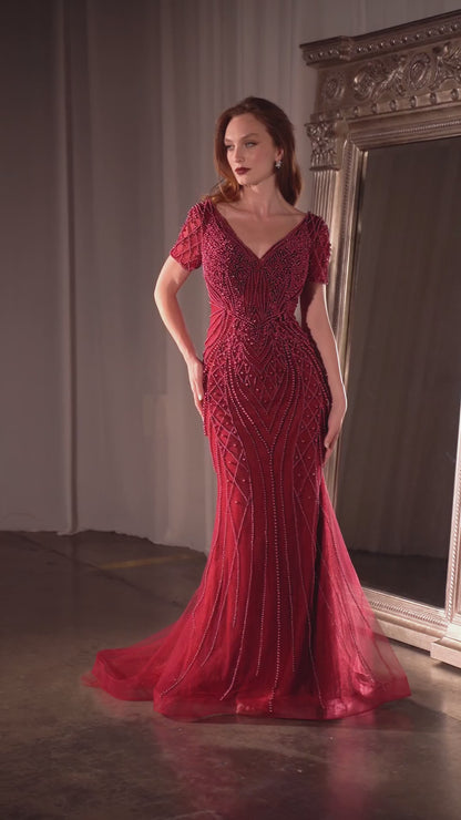 Formal Gown by Ladivine CC4019