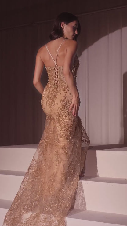 Formal Gown by Ladivine CC2403