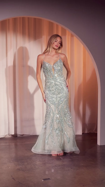 Formal Gown by Ladivine CC0240